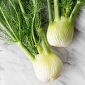 Fall Fennel