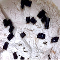 Ice Cream - Black Licorice