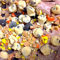 Ice Cream - Dumpster Dive